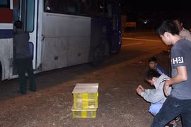 120 con rắn hổ mang "đi" xe khách