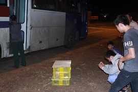 120 con rắn hổ mang "đi" xe khách