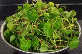 Tác dụng phụ khi uống nước rau má giải nhiệt sai cách