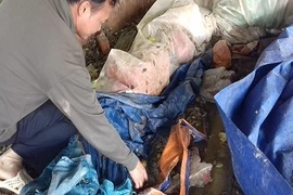 Tràn lan thịt trâu bẩn, thịt thối... phục vụ Tết