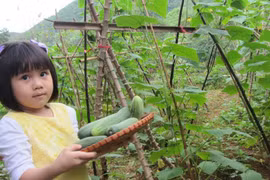 Một ngày làm nông dân siêu sướng ở trang trại ngoại ô