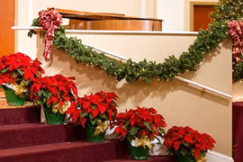 Mẹo phong thủy nhà ở cho mùa Noel an lành, sung túc