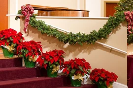 Mẹo phong thủy nhà ở cho mùa Noel an lành, sung túc