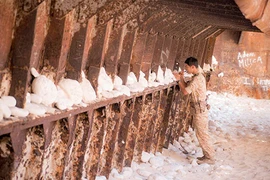 Song Joong Ki gửi thông điệp tình yêu tới Lee Kwang Soo