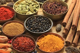 Kháng sinh tự nhiên - thần dược chữa bách bệnh ngay ở bếp