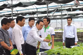 Phó Chủ tịch Quốc hội “nếm” rau sạch tại nhà vườn