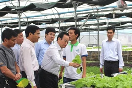 Phó Chủ tịch Quốc hội “nếm” rau sạch tại nhà vườn