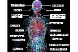 Điều gì xảy ra với cơ thể khi bạn uống rượu?