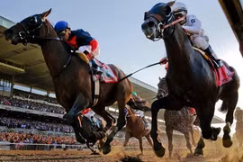 Mổ xẻ thú chơi đua ngựa của giới đại gia