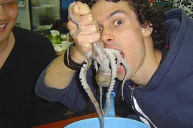 Rùng rợn món ăn đặc sản “chết người” bạch tuộc sống