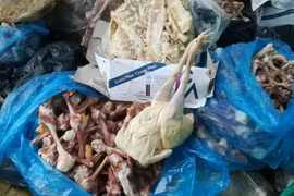 Kinh hoàng thịt thối trữ đông 3 năm chờ xuất bán