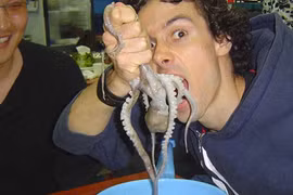 Rùng rợn món ăn đặc sản “chết người” bạch tuộc sống