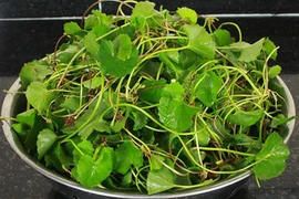 Tác dụng không ngờ khi thường xuyên uống nước rau má 