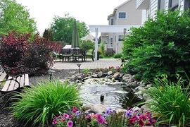 Vườn hoa đáng mơ ước của mẹ Việt trên đất Mỹ