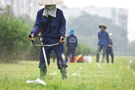 Mục kích công nhân cắt cỏ mọc um tùm giữa thủ đô