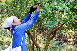 Dân Đồng Tâm đồng lòng xây dựng mới quê hương