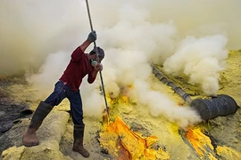 Hoảng hồn công việc bên miệng núi lửa của thợ lưu huỳnh