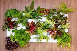 Muốn đón lộc tiền tài cuối năm hãy làm theo mẹo sau