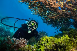 14 trải nghiệm du lịch sắp tuyệt chủng