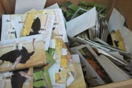 Phát hiện cơ sở chuyên sản xuất thịt nai, đà điểu... bằng thịt lợn