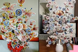 Chưng cây tiền thế này, tài lộc chảy vào nhà như “thác đổ"