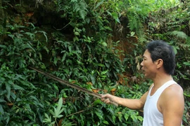 Thực hư hầm mộ chứa đầy vàng tại Hà Nam