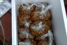 “Trò ảo thuật” biến nhộng tằm thối đen thành trắng phau từ hóa chất