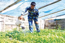 Tốt nghiệp ĐH Ngoại thương, tình nguyện ra Trường Sa