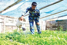 Tốt nghiệp ĐH Ngoại thương, tình nguyện ra Trường Sa