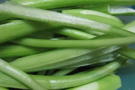 Bị bệnh này chỉ cần dùng dọc mùng là chữa khỏi 