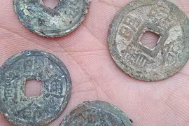 Đào móng nhà, sướng rơn khi phát hiện 10kg tiền cổ