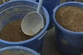 Video: Rùng mình xem cách bảo quản, chế biến trà sữa giá rẻ