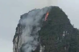 Núi đá giữa vịnh Hạ Long bốc cháy nghi ngút