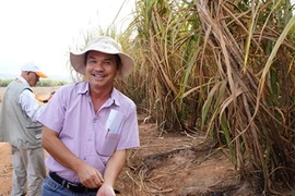 Khủng khiếp nợ của HAGL, bầu Đức còn gì để... bán?