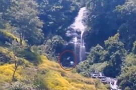 Quay được video sinh vật bí ẩn giống người rừng khổng lồ 