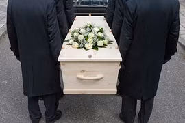 Bị chó cắn trọng thương, thiếu niên sống sót thần kỳ