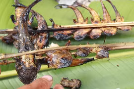 Theo chân “thợ săn” truy tìm loài cá thượng phẩm ở lưng chừng trời