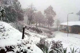 Thiên đường trải nghiệm mùa đông chuẩn nhất Việt Nam