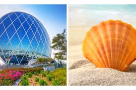 10 kiệt tác kiến trúc lạ thường lấy cảm hứng từ thiên nhiên