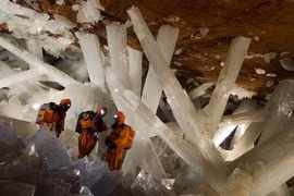 Tìm ra sinh vật kì lạ sống 50 ngàn năm ở Mexico