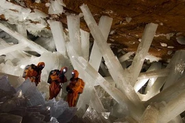 Tìm ra sinh vật kì lạ sống 50 ngàn năm ở Mexico