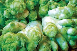 Những món rau rừng đặc sản “sốt xình xịch” lúc giao mùa