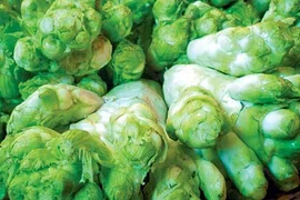 Những món rau rừng đặc sản “sốt xình xịch” lúc giao mùa