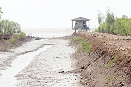 Chiếc sim điện thoại cũ và cái chết của nữ sinh trẻ