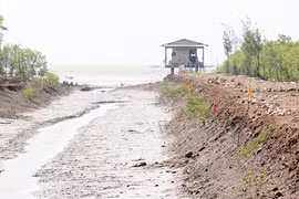 Chiếc sim điện thoại cũ và cái chết của nữ sinh trẻ