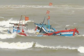 Hai tàu cá Quảng Ngãi chìm khi chạy về bờ tránh bão
