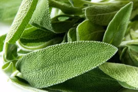 8 loại cây xanh chiêu vận may nên trồng trang trí nhà bếp