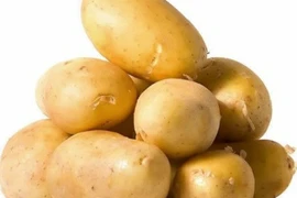 3 thực phẩm có lợi cho sức khỏe nhưng vỏ rất độc hại