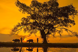 Cảnh thiên nhiên đẹp tuyệt ở 3 miền đất nước