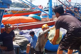 Ra biển đón Tết